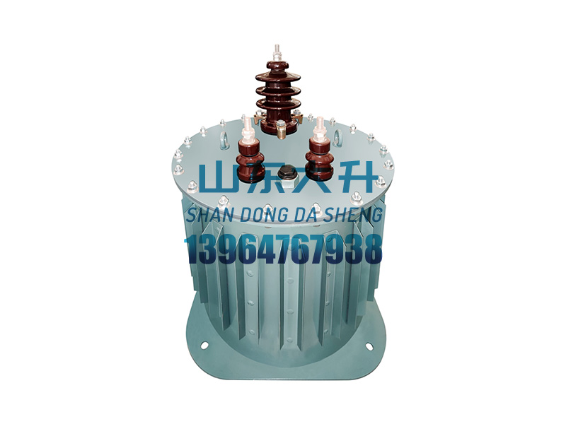 OZO-DS系列水冷臭氧发生器变压器